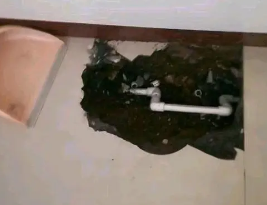 通海卫生间测漏水多少钱
